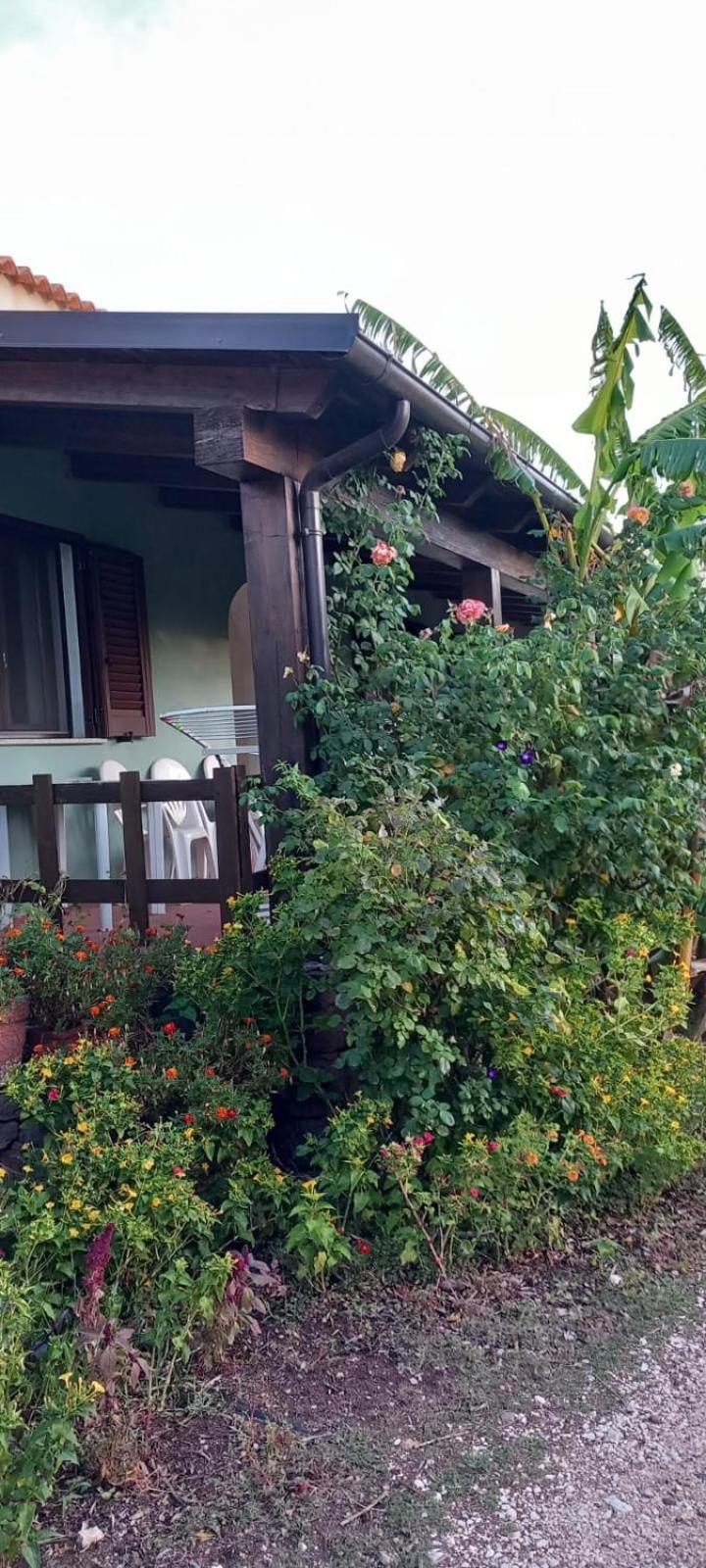 Agriturismo Su Tiresi Cala Gonone Extérieur photo