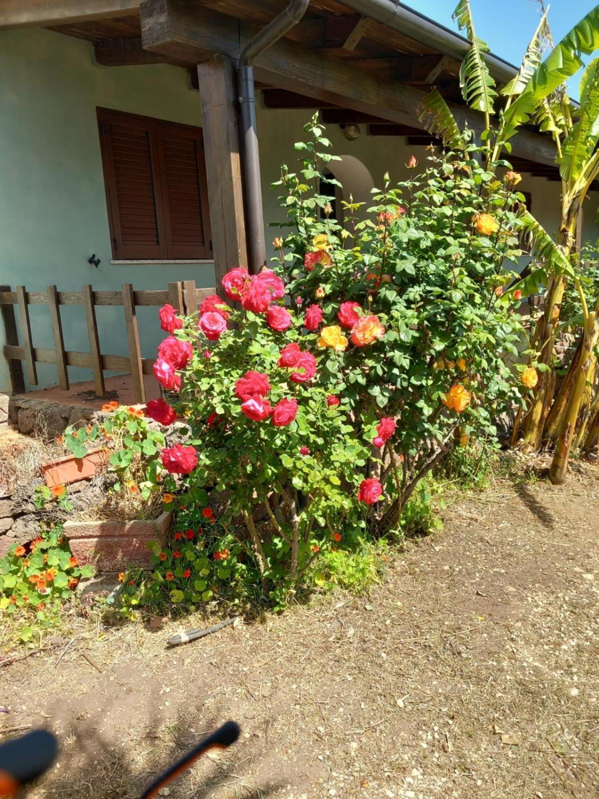 Agriturismo Su Tiresi Cala Gonone Extérieur photo