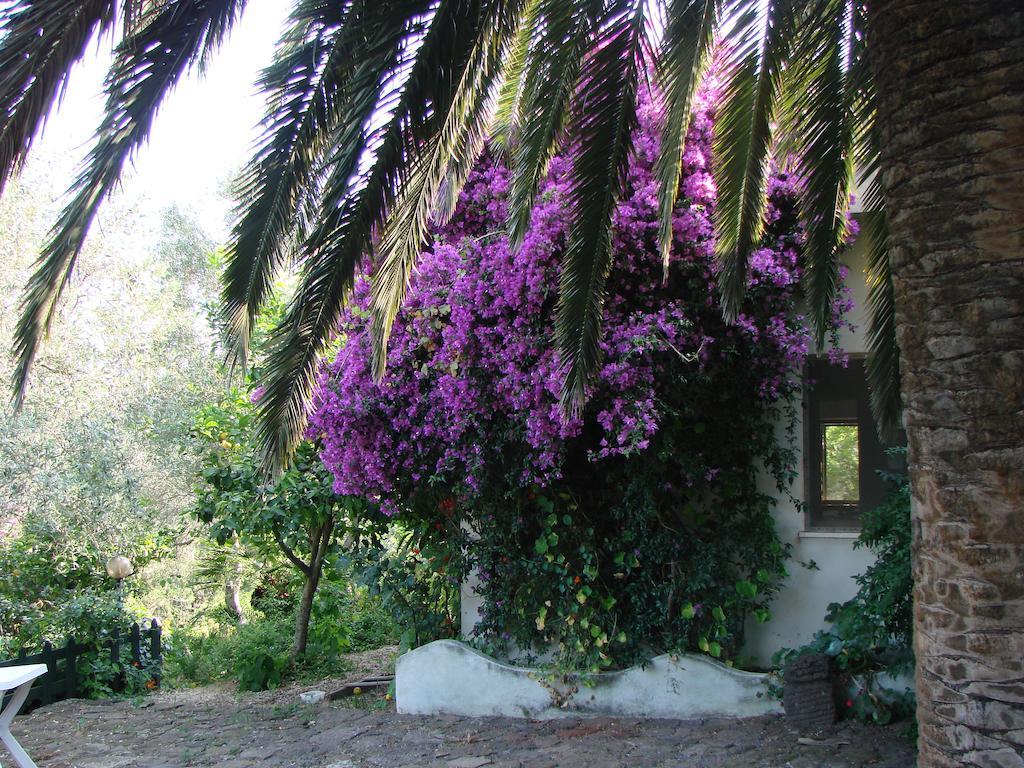 Agriturismo Su Tiresi Cala Gonone Extérieur photo