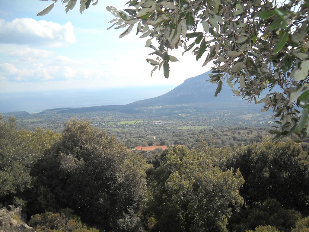 Agriturismo Su Tiresi Cala Gonone Extérieur photo