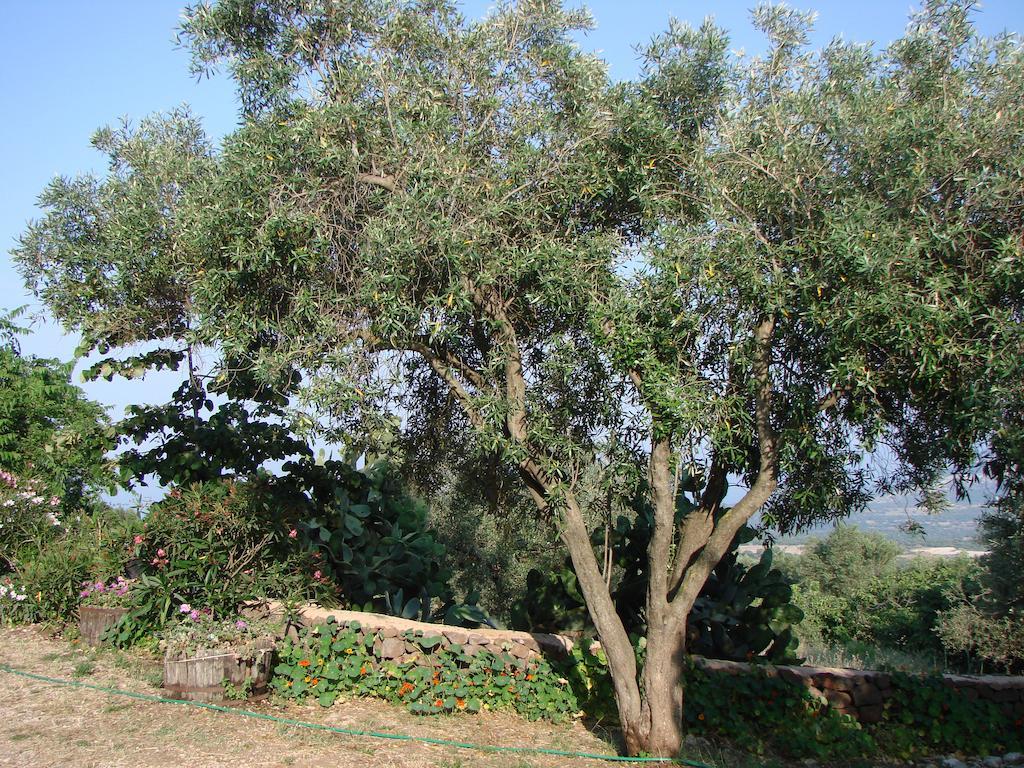 Agriturismo Su Tiresi Cala Gonone Extérieur photo