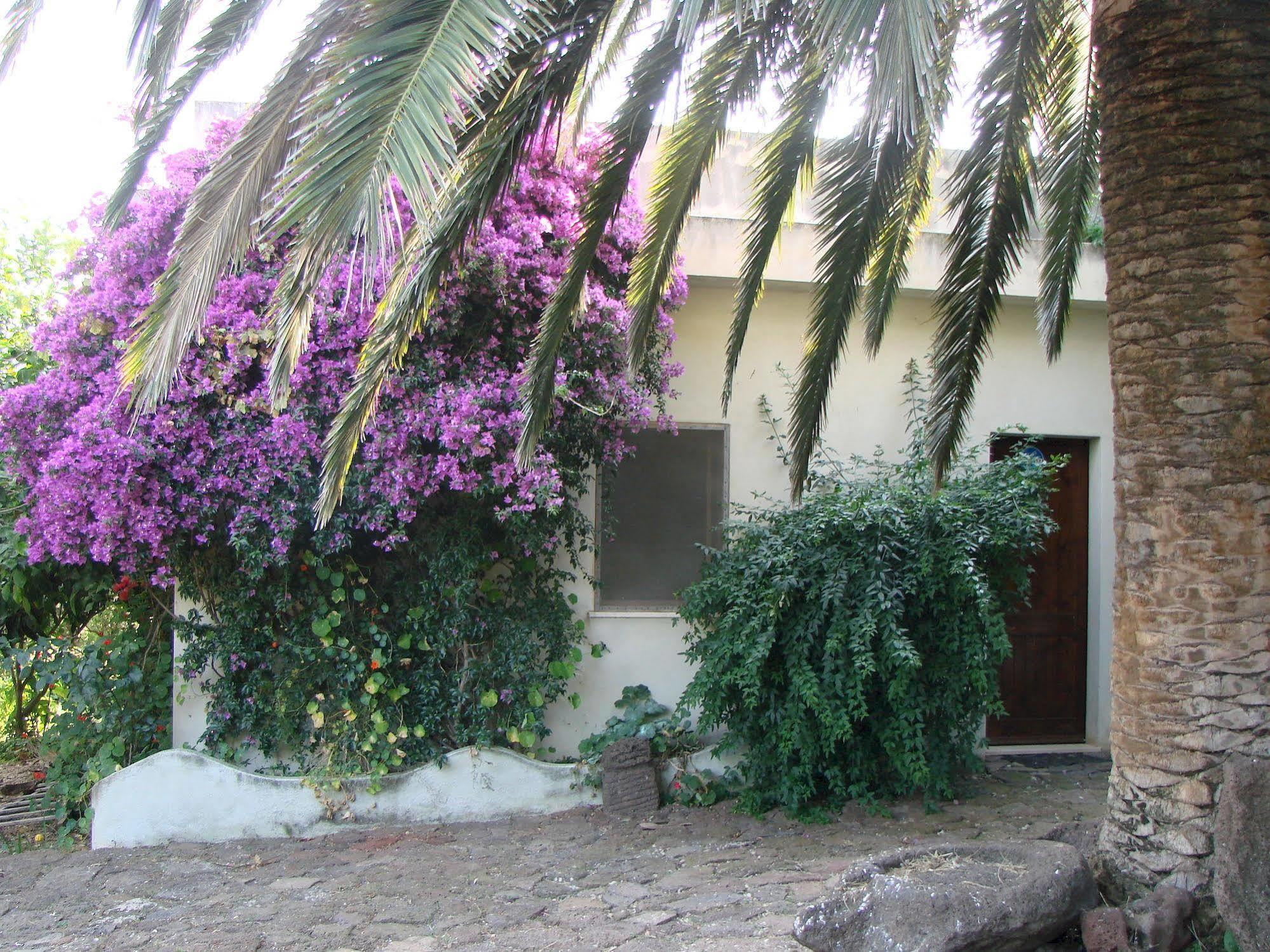 Agriturismo Su Tiresi Cala Gonone Extérieur photo