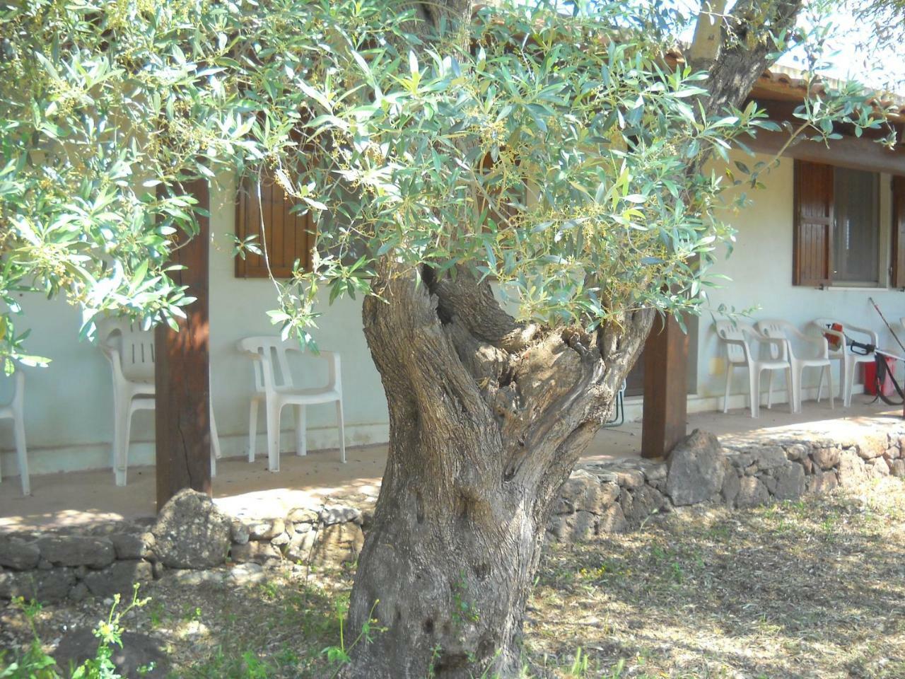 Agriturismo Su Tiresi Cala Gonone Extérieur photo