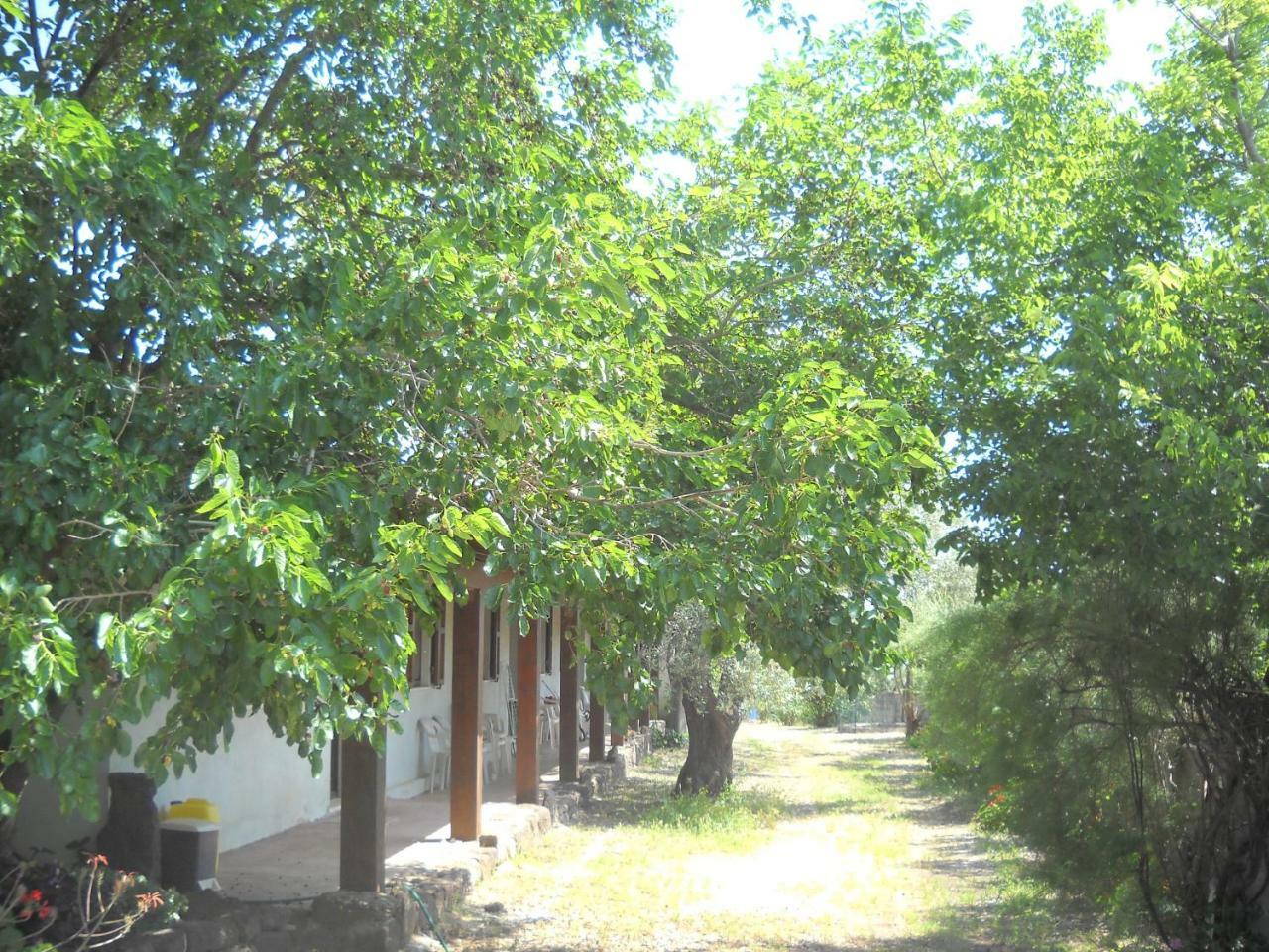 Agriturismo Su Tiresi Cala Gonone Extérieur photo